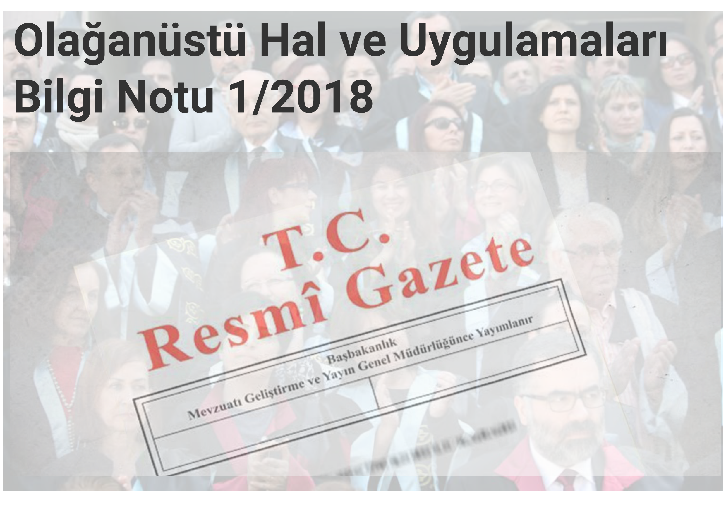 Ballı viburnum için reçete - uygulama ve göstergeler 13